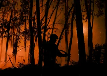 Projeto investigou práticas “primitivas” para ajudar no combate aos fogos