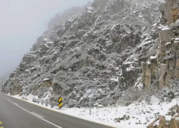 Quatro pessoas resgatadas em percurso pedonal na Serra da Estrela