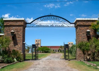 Conheça a vinícola da Campanha Gaúcha que está colecionando prêmios