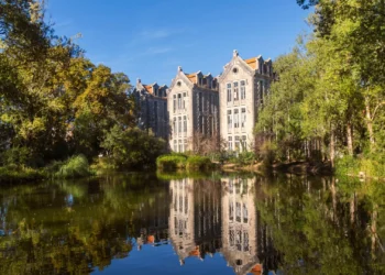 OesteCim com resultado positivo de 3,5 milhões de euros em 2024