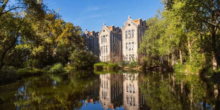 OesteCim com resultado positivo de 3,5 milhões de euros em 2024