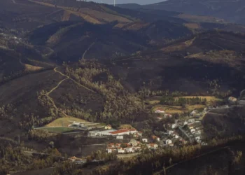 Pampilhosa da Serra inicia segunda-feira plantação de vinha no Zêzere
