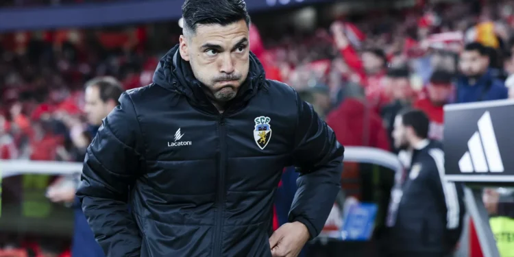 Tozé Marreco. Não fomos o saco de pancada que disseram que íamos ser”