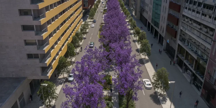 Menos jacarandás, mais estacionamento. Os planos para a Av. 5 de Outubro