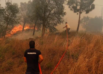 Estudo diz que fogo “fazia parte da paisagem” antes de ser catástrofe