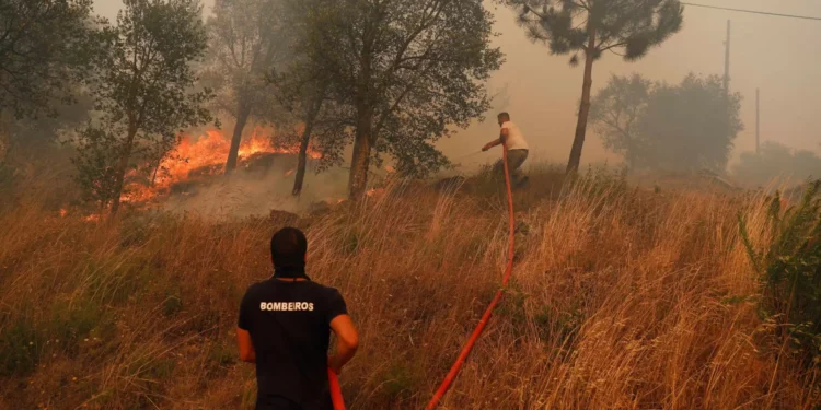Estudo diz que fogo “fazia parte da paisagem” antes de ser catástrofe