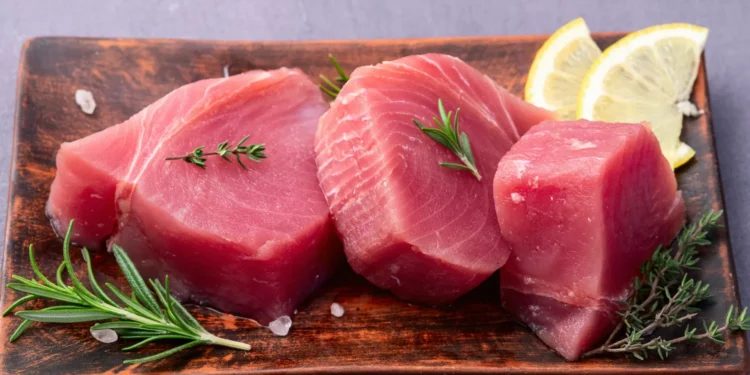 É um dos peixes com mais mercúrio. Será seguro comer atum?