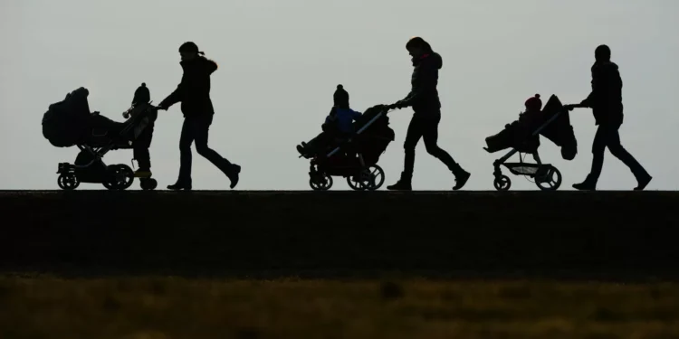 Nascimentos aumentam no 1.º trimestre do ano após queda registada em 2024