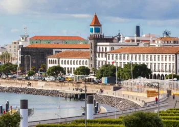 Criada nova rede internacional de organizações de serviço social dos Açores e diáspora