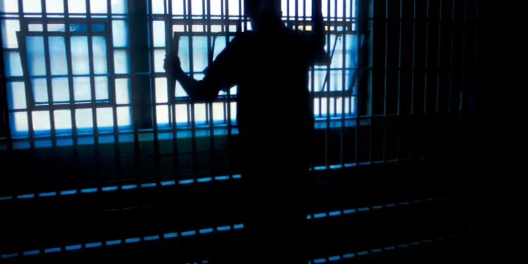 Número de portugueses expulsos ou deportados aumentou 43% em 2024