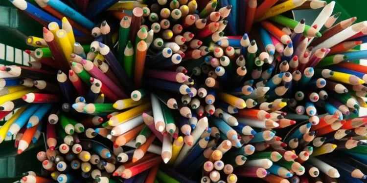 Raquel Patriarca e Francisca Camelo vencem prémio ibérico de literatura infantojuvenil