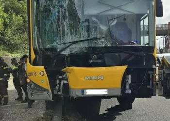 As imagens do autocarro da Carris que se despistou contra poste em Lisboa