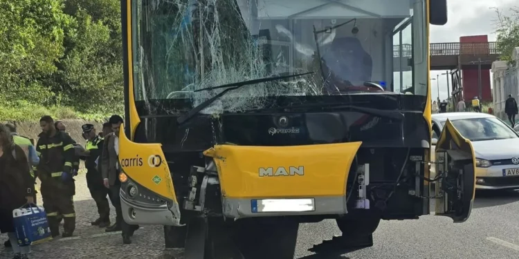 As imagens do autocarro da Carris que se despistou contra poste em Lisboa