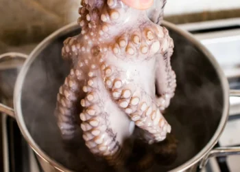 Expo2025: Polvo é iguaria mais procurada no restaurante do Pavilhão de Portugal