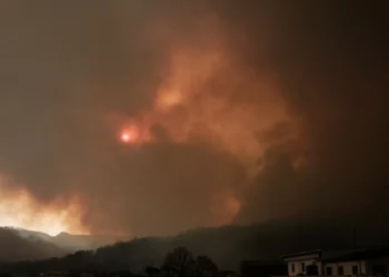 Caçadores promovem ações de prevenção de incêndios no Algarve