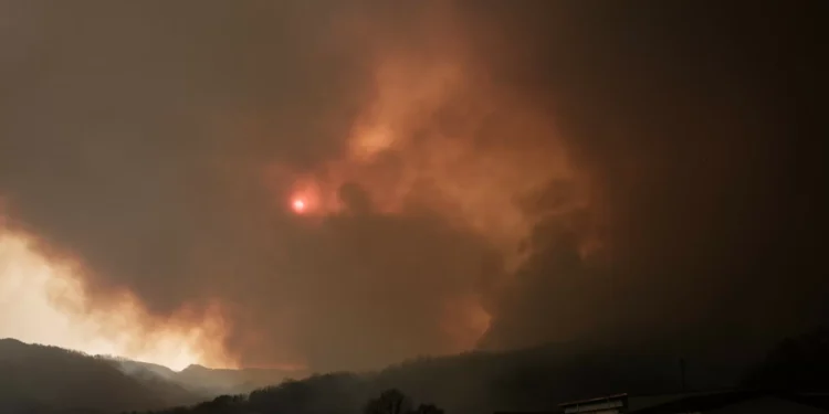 Caçadores promovem ações de prevenção de incêndios no Algarve