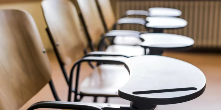 Professores e investigadores promovem petição pela Palestina