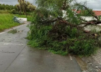 Beja e Campo Maior foram atingidos por tornados, confirma IPMA