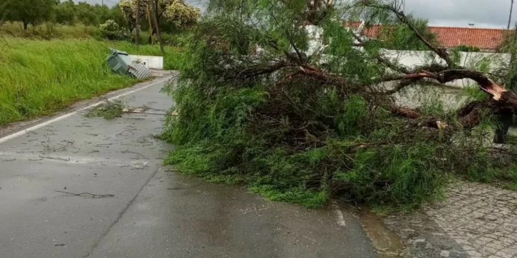 Beja e Campo Maior foram atingidos por tornados, confirma IPMA