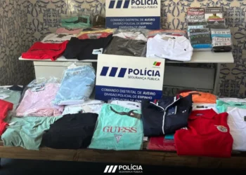 Dois detidos e 112 peças de roupa contrafeita apreendidas em Ovar