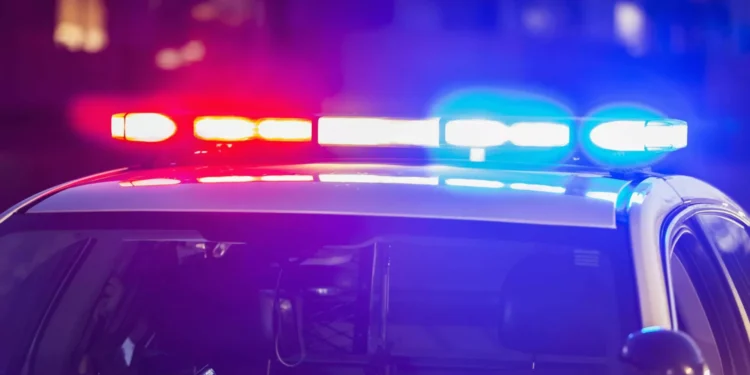 Adolescente de 17 anos detido por tráfico de droga em Ovar