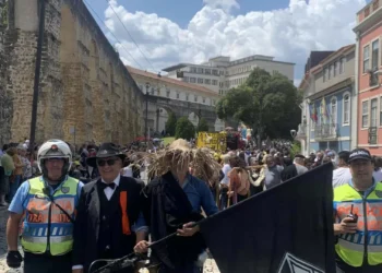 Recolhidas 18 toneladas de resíduos após Cortejo em Coimbra