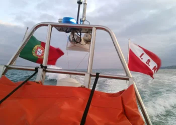 Mulher entra em dificuldades na água para salvar cão na praia da Nazaré