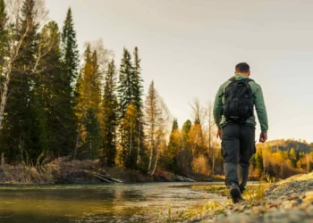 Caminhar na natureza? Eis nove benefícios (incríveis) para a sua saúde