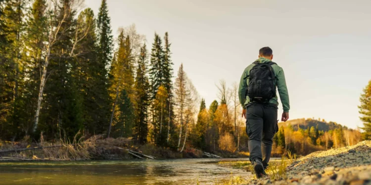 Caminhar na natureza? Eis nove benefícios (incríveis) para a sua saúde