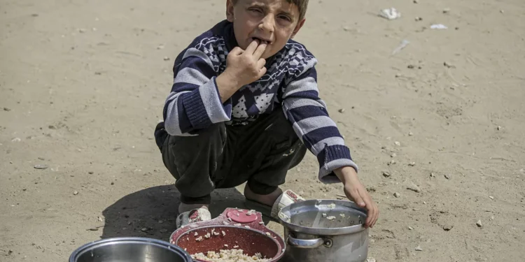 Padarias de Gaza voltam a laborar. Primeiros camiões com farinha chegam ao enclave