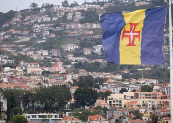 Câmara do Funchal reforça meios de limpeza durante Festa da Flor