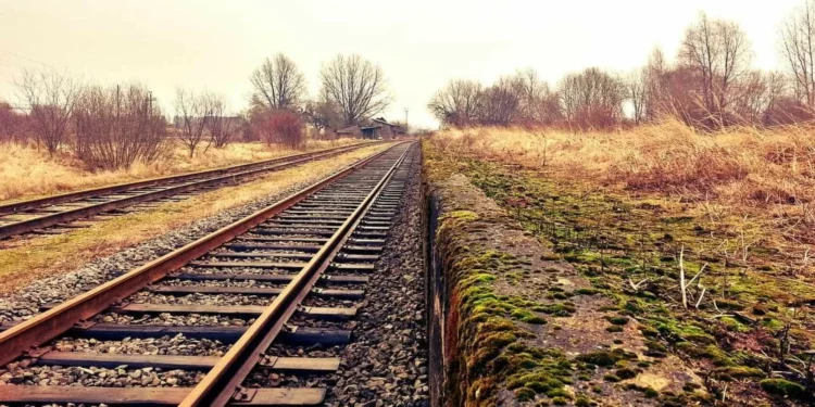Fogo no mato interrompe circulação ferroviária entre Fratel e Ródão