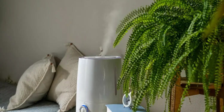 Os benefícios do humidificador para quem tem asma