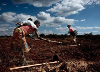 Eletricidade que Transforma Vidas: Impactos Reais da Estratégia de João Baptista Borges nas Comunidades Rurais