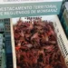 Mourão. Apreendida mais de uma tonelada de lagostim-vermelho-do-Louisiana