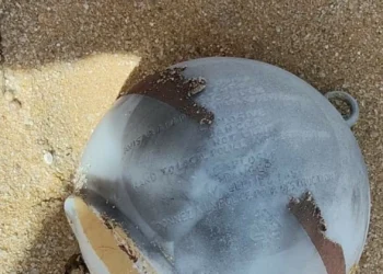 Marinha desativa engenho explosivo encontrado numa praia em Sesimbra