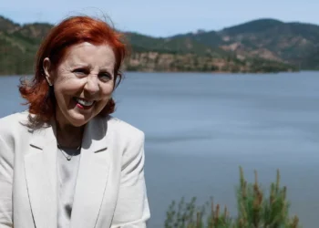 Ministra reconhece que problema no estreito de Ormuz “afeta todo o mercado”