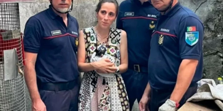 Sapadores de Braga e PSP salvam gato bebé preso dentro de tubagem. Veja