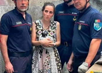 Sapadores de Braga e PSP salvam gato bebé preso dentro de tubagem. Veja