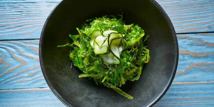 Metais tóxicos encontrados em algas. Estudo alerta para consumo