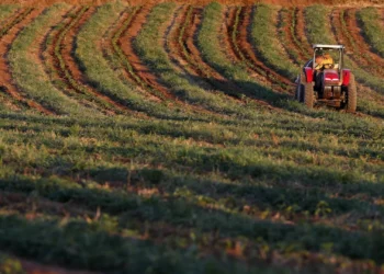 Homem de 79 anos morre em acidente de trator em Águeda