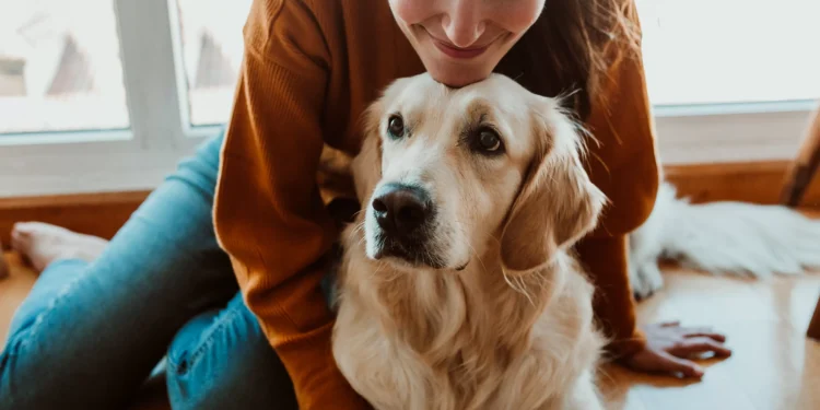 Cães e seus donos tendem a se parecer até na personalidade, mostra estudo