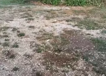 Onda de calor não veio ‘sozinha’: Houve chuvas, vento, granizo e fogos