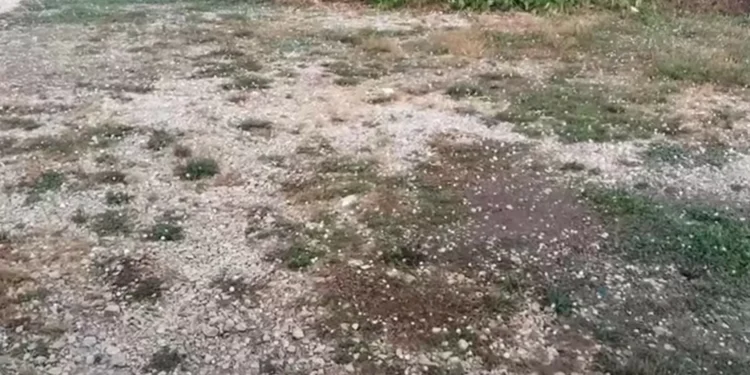 Onda de calor não veio ‘sozinha’: Houve chuvas, vento, granizo e fogos