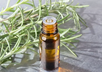 Prevenir o Alzheimer e estimular a mente? O alecrim pode ajudar