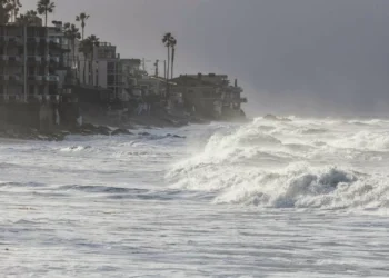Zero acusa Governo de falhar ao não ter estratégia para a biodiversidade