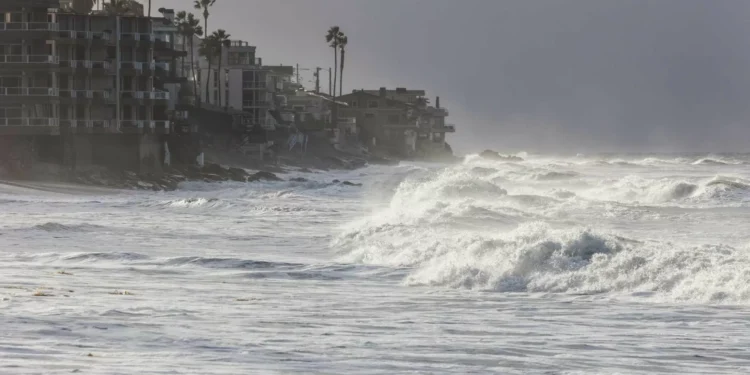 Zero acusa Governo de falhar ao não ter estratégia para a biodiversidade