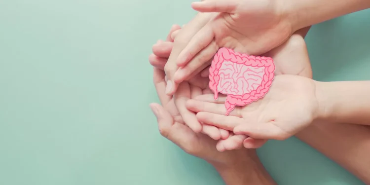 Melhore a saúde dos intestinos com quatro hábitos simples