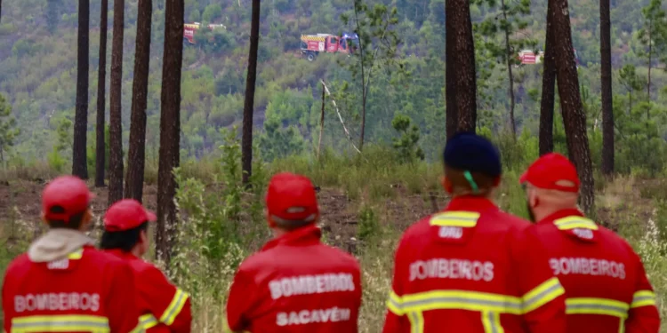 Incêndio em Castelo Branco “quase dominado”. Torres Novas em rescaldo