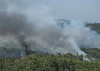Mais de 50 concelhos de nove distritos em perigo máximo de incêndio